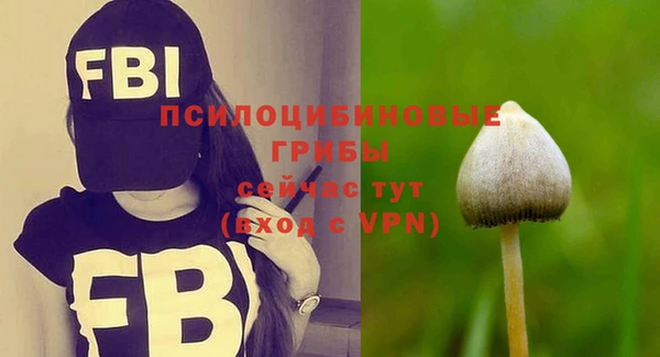соль курить ск Карталы