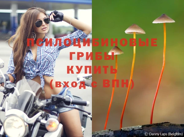 соль курить ск Карталы