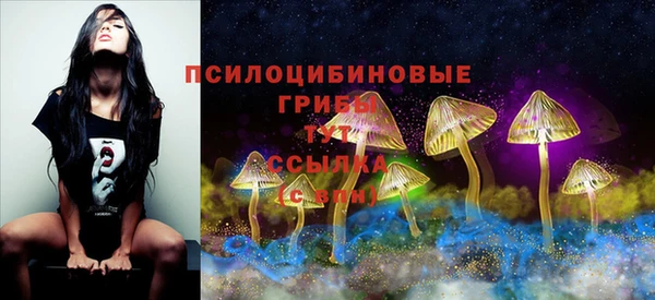бутират Карпинск