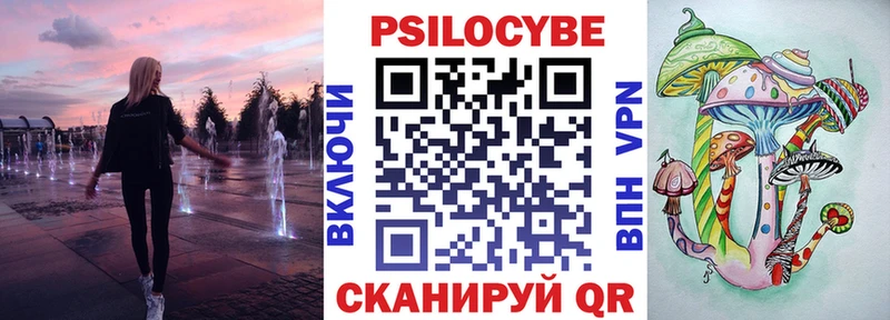 Купить где  Дубовка  Псилоцибиновые грибы Magic Shrooms 